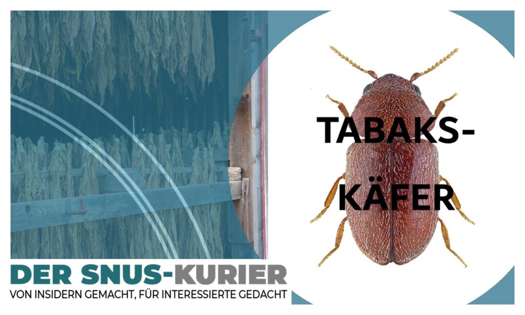 tabakskaefer1 (1)